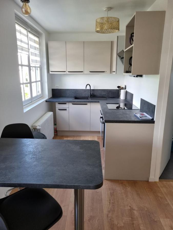Location Saisonniere Appartement Situe A Saumur Exterior foto