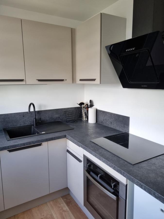 Location Saisonniere Appartement Situe A Saumur Exterior foto