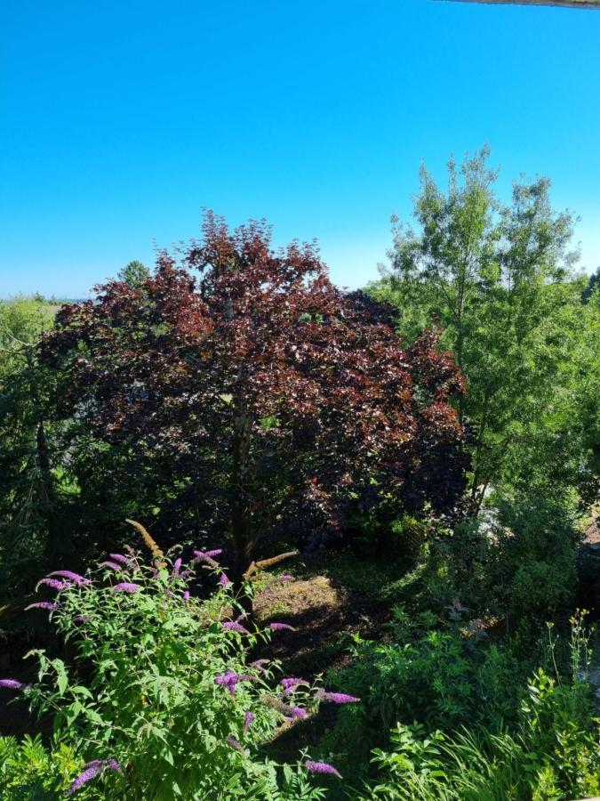 Location Saisonniere Appartement Situe A Saumur Exterior foto