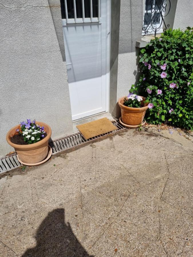 Location Saisonniere Appartement Situe A Saumur Exterior foto