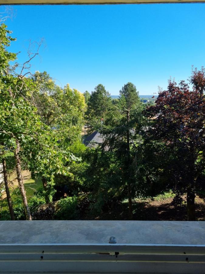 Location Saisonniere Appartement Situe A Saumur Exterior foto